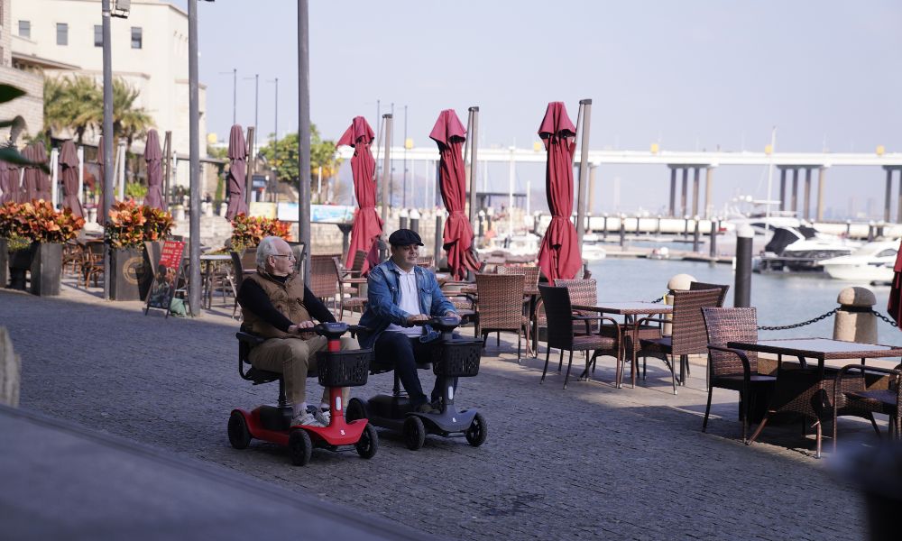 TTZ Elektro-Klapproller