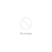 TTZ Elektro-Stadtauto für 4 Personen